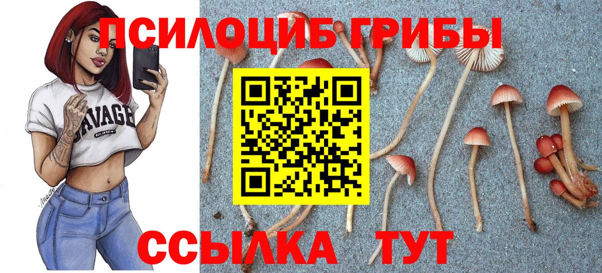 Галлюциногенные грибы GOLDEN TEACHER Канск