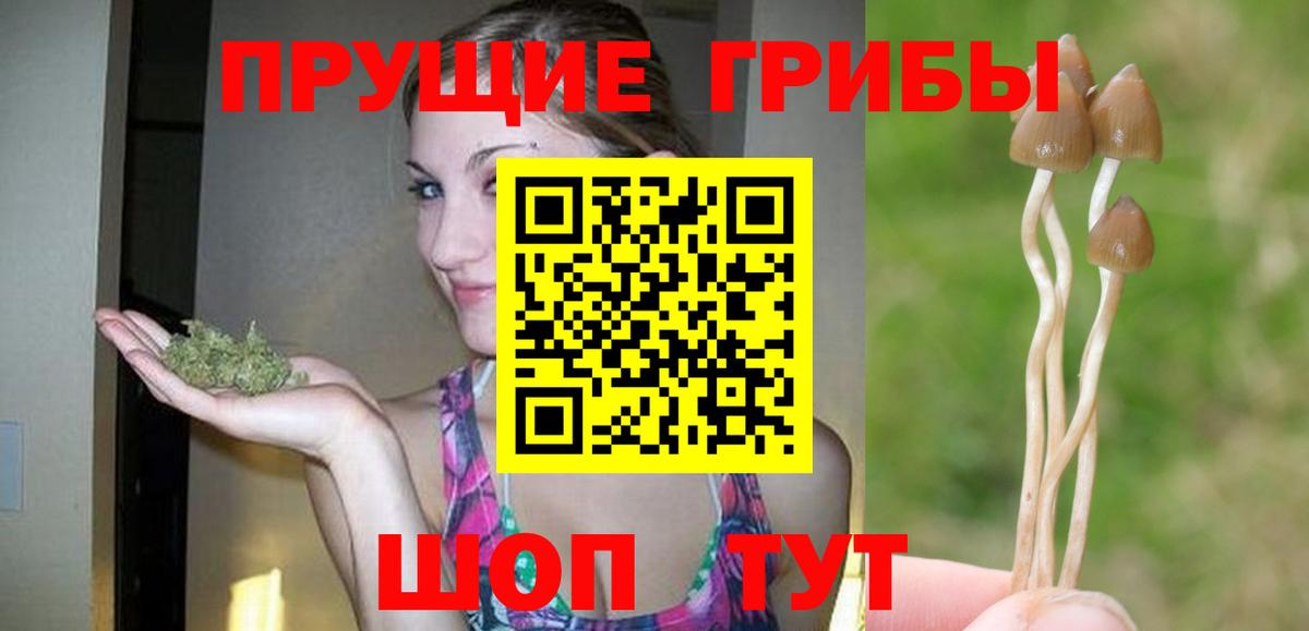 Канск  Псилоцибиновые грибы Magic Shrooms  Вход с VPN 